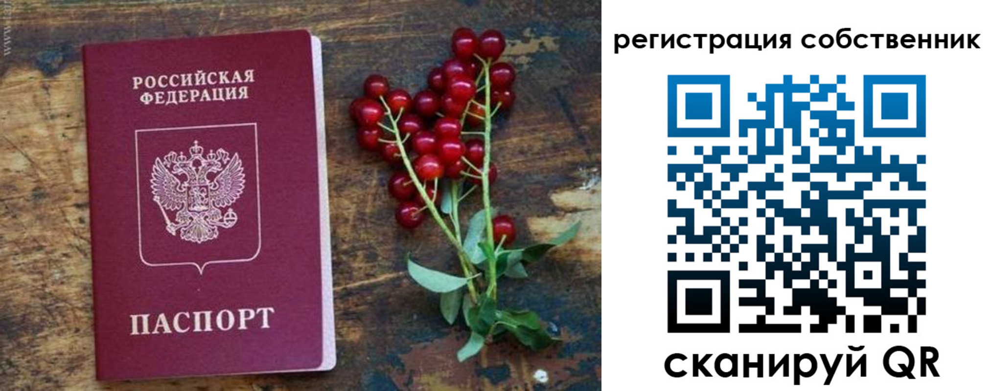 регистрация для дет. сада в Ивантеевке