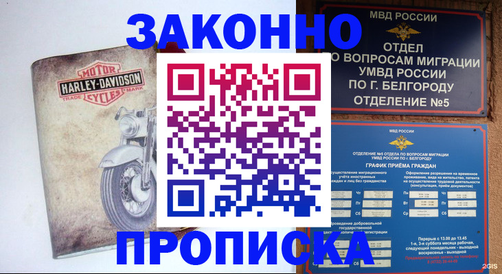 прописка для школы в Ивантеевке